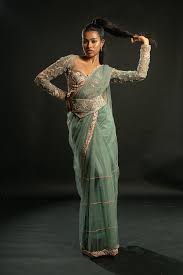 Embroidered Net Saree